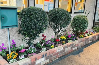 【新見店】花壇の植え替えをしました