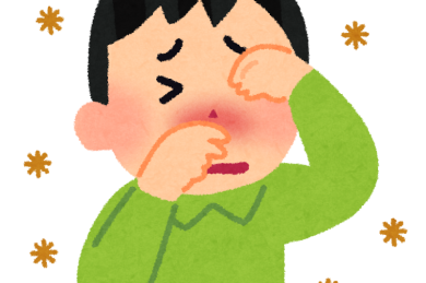 そろそろ花粉症の季節でしょうか・・・